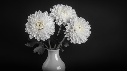 chrysanthemum, vase, qingming, dew, petals, mist, monochromatic, moody, crystal, morning, festival, floral, arrangement, tradition, ceremony, remembrance, symbolism, elegance, serenity, beauty, nature