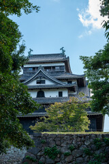 Fototapeta premium Matsue Castle, a famous landmark