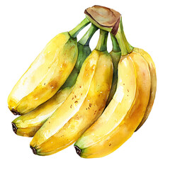 Watercolor illustration of a bunch of ripe yellow bananas with green stems, isolated on white background.