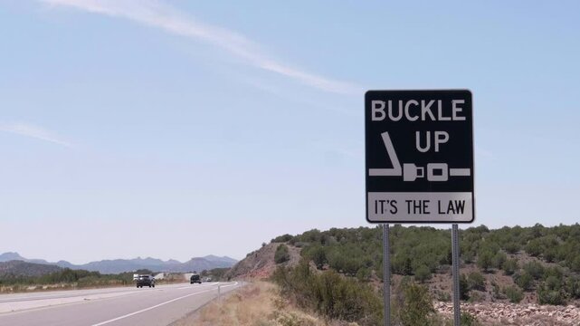 Buckle Up Its The Law Sign