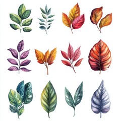 Fototapeta premium Artistic Watercolor and Ink Herb and Leaf Collection with High Detail and Precision