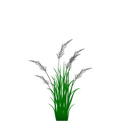 green grass vector