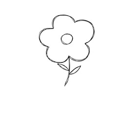hand drawn vector illustration of a flower