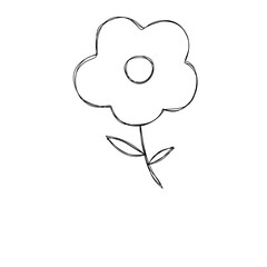 hand drawn vector illustration of a flower