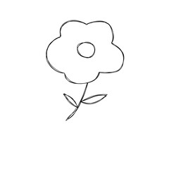 hand drawn vector illustration of a flower