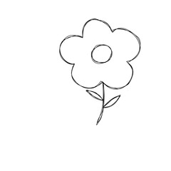 hand drawn vector illustration of a flower