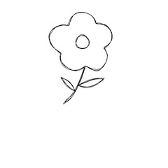 hand drawn vector illustration of a flower
