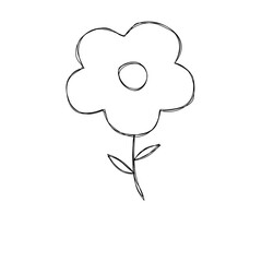 hand drawn vector illustration of a flower