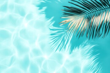 Palm leaf shadow on turquoise water. (1)