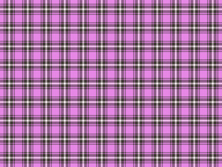 Plaid Fabric Pattern Background Vector