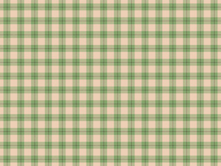 Plaid Fabric Pattern Background Vector