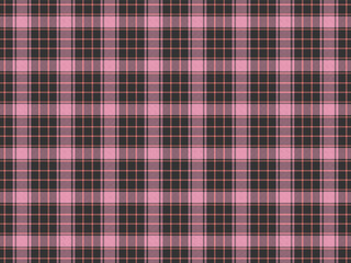 Plaid Fabric Pattern Background Vector