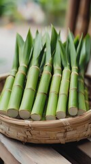Obraz premium qingming, bamboo, tray, festival, tradition, food, Traditional rice cakes on bamboo tray, cherry blossoms in soft focus, warm golden light, rich colors