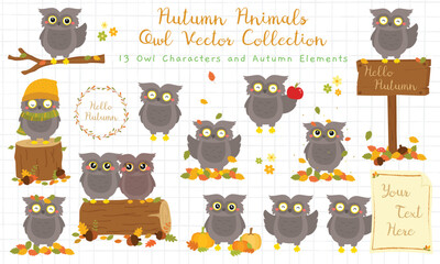 vector set of a cute autumn owl character and seasonal autumn elements like leaves, acorns, and more. Perfect for fall-themed designs, postcard, poster, card