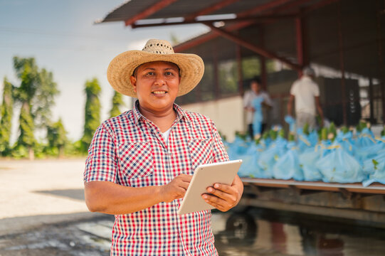 Banana plant worker makes a report of the stock of banana bunches and uses an electronic tablet to make the report. Front shot.