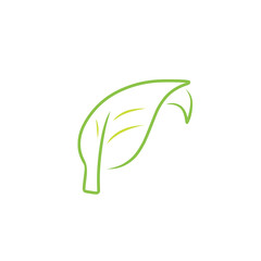 leaf logo design
