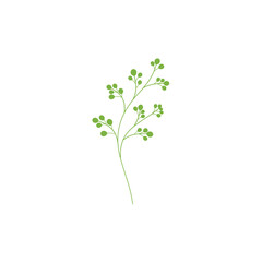 vector illustration of a green plant