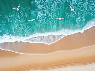 Aerial shot of a sandy beach with ocean waves and seagulls flying overhead, wave patterns, natural scenery