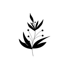 black silhouette of a plant