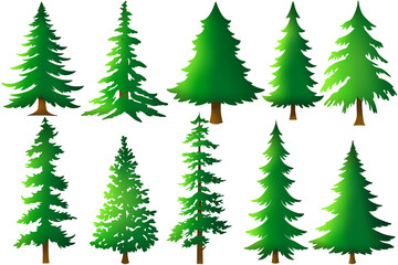 Set of christmas tree in cartoon style isolated on white background. Pine trees vector collection in trendy and simple style. Elements for christmas celebration, wallpaper and background element