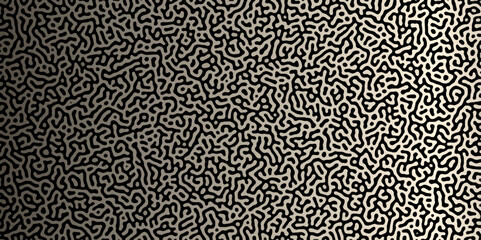 Abstract truing organic wallpaper Turing reaction diffusion monochrome seamless pattern .Monochrome Turing reaction background .Natural seamless line pattern. Linear design with biological shapes