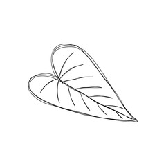 heart shaped leaf doodle