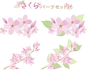桜のイラストパーツセット sakura cherry blossoms