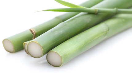 Fototapeta premium Green bamboo stalks and leaves. Generative AI