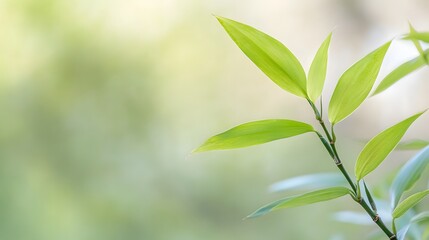Obraz premium Green bamboo stalks and leaves. Generative AI