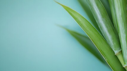 Fototapeta premium Green bamboo stalks and leaves. Generative AI