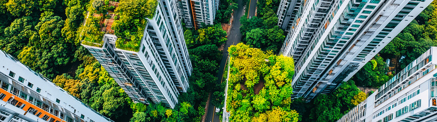Fototapeta premium Green city, sustainable buildings with vertical gardens and rooftop plantings in an urban environment. Blueprints of an eco-friendly architecture concept with trees on the roofs of high-rise 