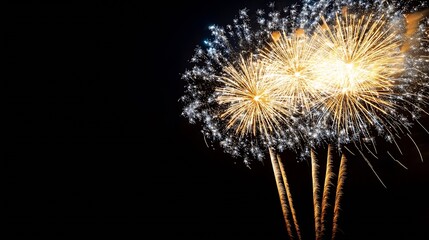 Fototapeta premium Colorful Fireworks Display Bursting in Night Sky Creates Festive Atmosphere : Generative AI