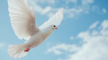 Fototapeta premium Graceful white dove in flight against a beautiful blue sky with fluffy clouds : Generative AI