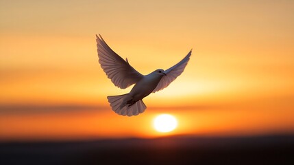 Fototapeta premium Majestic white bird soaring through the vibrant sunset sky symbolizing freedom and peace : Generative AI