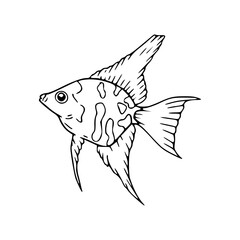 vector illustration of a fish for coloring page