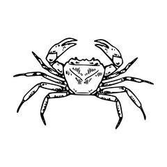 a black and white drawing of a crab on white background