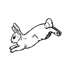 hand drawn vector illustration of a jumping rabbit