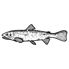 a detailed black and white drawing of a tropical fish vector graphic