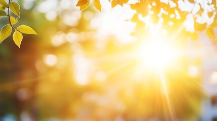 Obraz premium Golden sunlight filtering through leaves creating a serene natural background for tranquility and peace : Generative AI