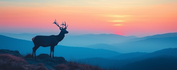 Majestic Stag Silhouette Against Colorful Sunset Horizon