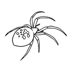 a black and white drawing of a spider coloring pages