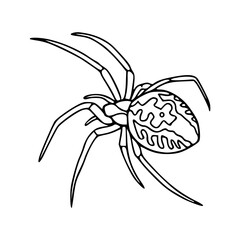 a black and white drawing of a spider coloring pages