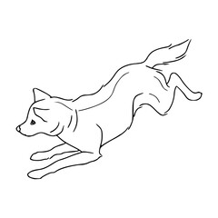 vector illustration of a jumping dog 