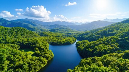 Aerial View Of Lush Green Tropical River And Forest Landscape
