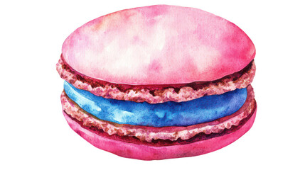 Colorful Macaron Delicacy
