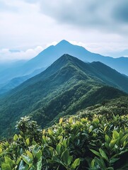 Serene Mountain Landscape with Lush Greenery and Soft Clouds in the Sky : Generative AI
