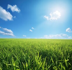 Obraz premium Lush green grass field under a clear blue sky, showcasing vibrant natural scenery. Ideal for website banners, social media backgrounds, eco-friendly branding, and outdoor-themed advertisements.