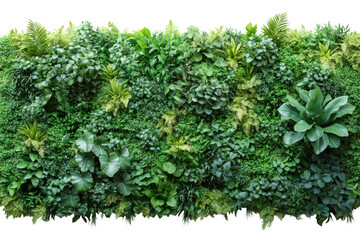A vibrant green wall filled with a variety of lush plants and ferns, showcasing nature's beauty and offering a refreshing, serene atmosphere.