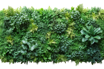 A vibrant green wall filled with a variety of lush plants and ferns, showcasing nature's beauty and offering a refreshing, serene atmosphere.