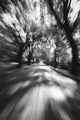 Obraz premium Abstract Black and White Motion in Blurred Tree Canopy and Pathway : Generative AI